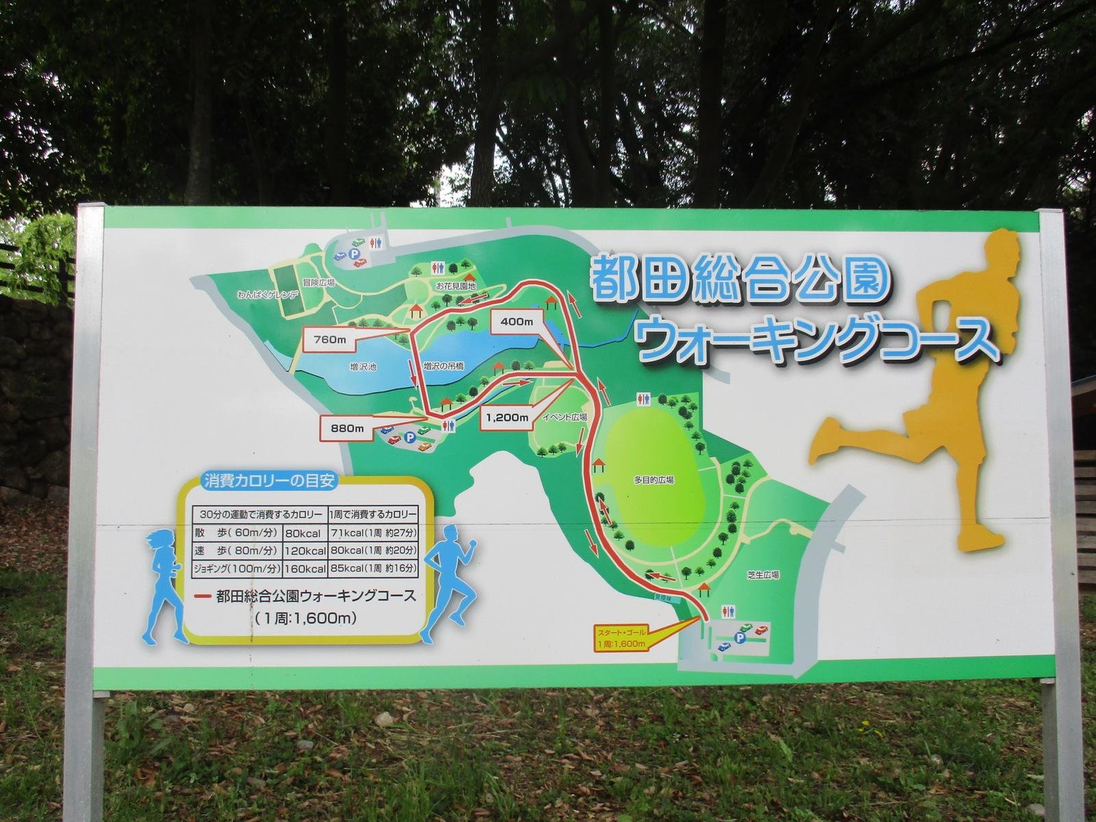 🏞️ 미야코다 종합공원 (都田総合公園) 이미지 5